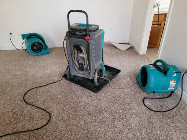Best Carpet water damage restoration  in Parkersburg, WV