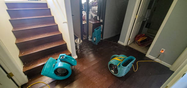 Best 24-hour water damage restoration  in Parkersburg, WV