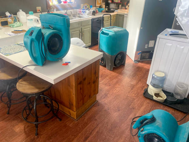 Best Water damage restoration cost  in Parkersburg, WV