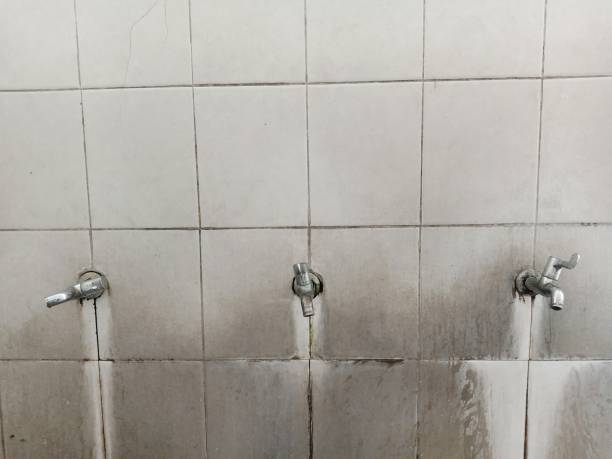 Best Water damage restoration company  in Parkersburg, WV