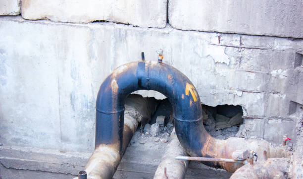Best Mold removal after water damage  in Parkersburg, WV