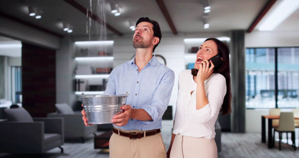 Best Water damage restoration near me  in Parkersburg, WV