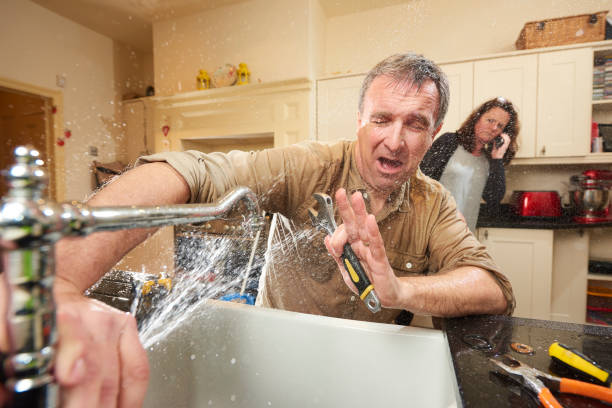 Best Professional water damage repair  in Parkersburg, WV